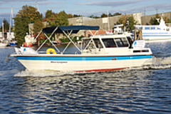 Sportbootführerschein Motor auf dem Motorboot auf der Elbe machen