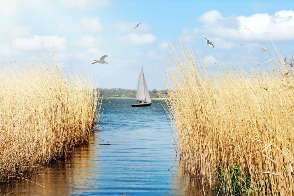 schnuppersegeln-jolle-yacht-ostsee_172895174
